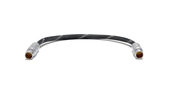 Matrix to Ronin2 Head Cable (30cm/12in)